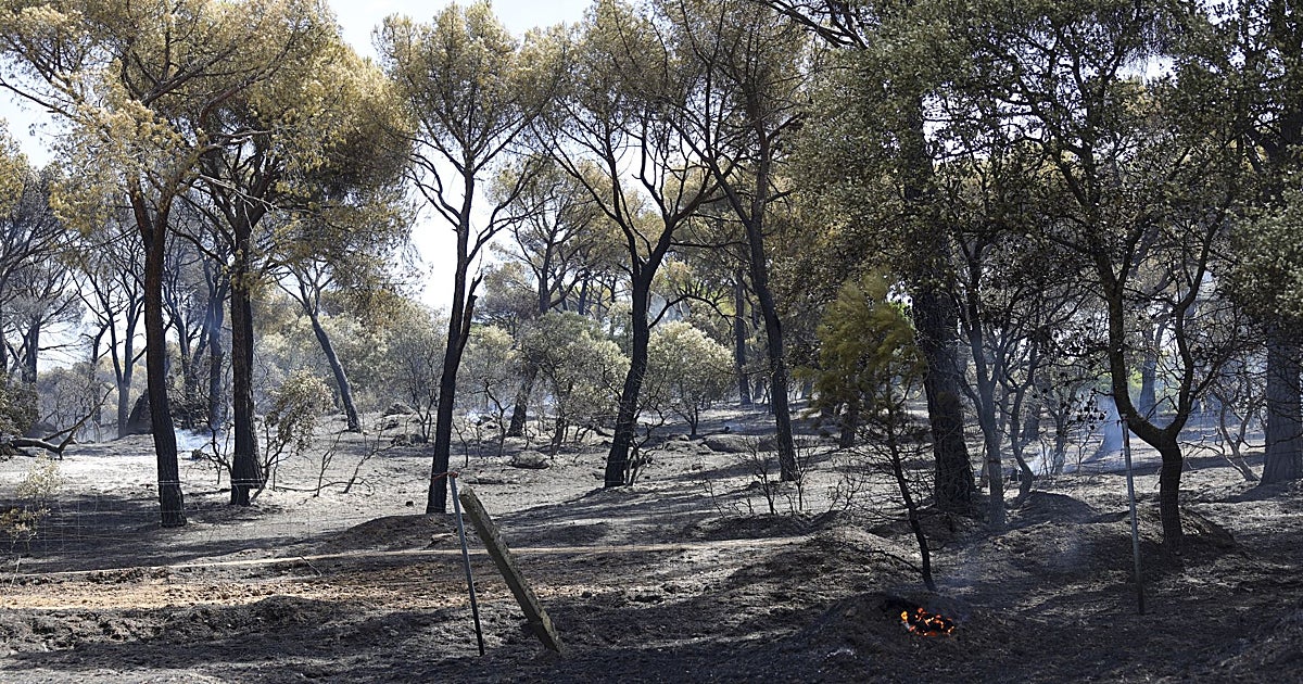 El viento vuelve a empujar el incendio de la sierra de Madrid hacia Almorox y obliga a evacuar dos urbanizaciones