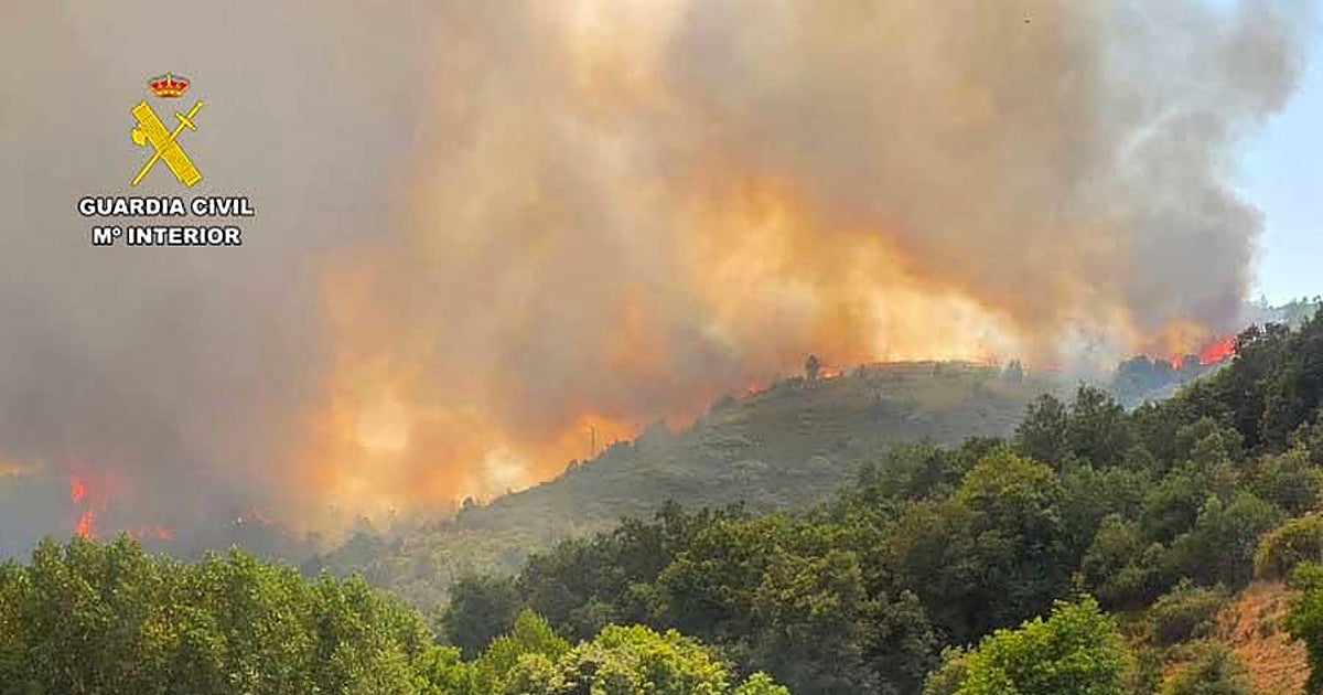 Detenido el pirómano reincidente que provocó el incendio de León que obligó a evacuar varios pueblos